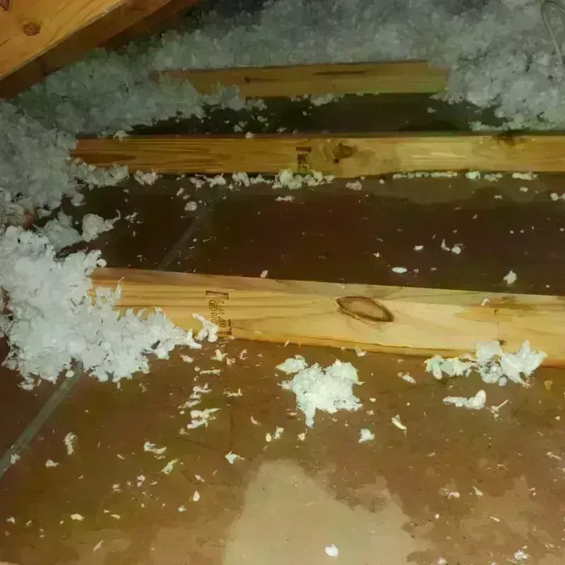 Attic Water Damage in Philip, SD