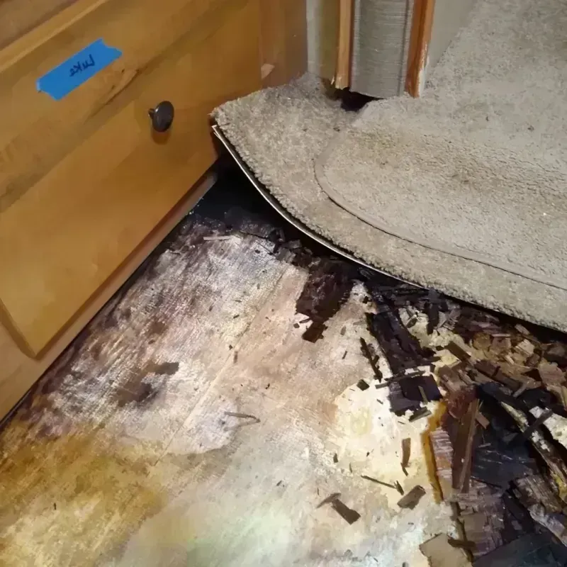 Best Wood Floor Water Damage Service in Philip, SD